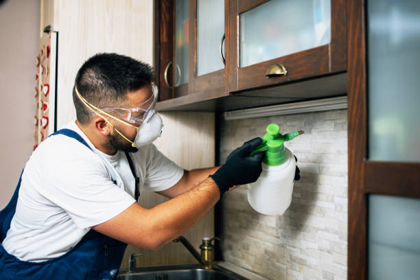 Best Insect Control  in Minnehaha, WA