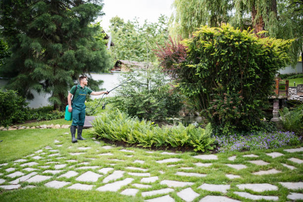 Best Bed Bug Extermination  in Minnehaha, WA