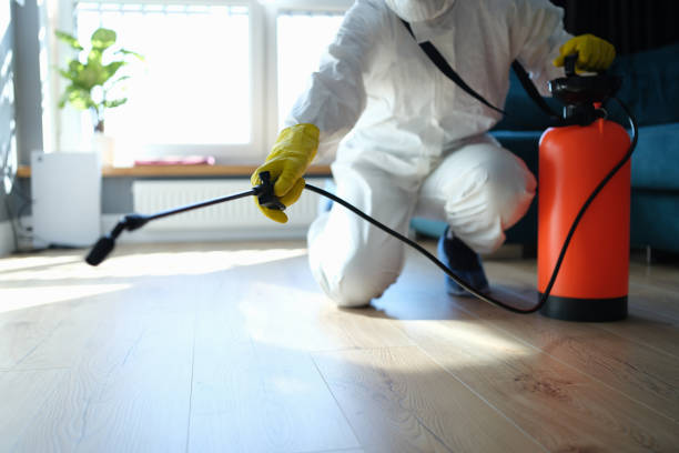 Professional Pest Control in Minnehaha, WA