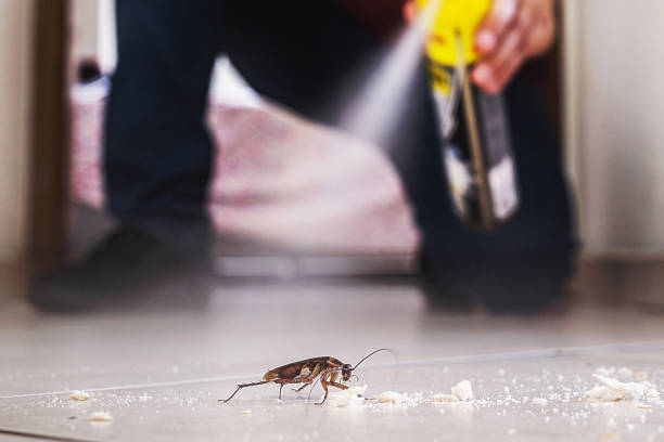 Pest Control for Restaurants in Minnehaha, WA