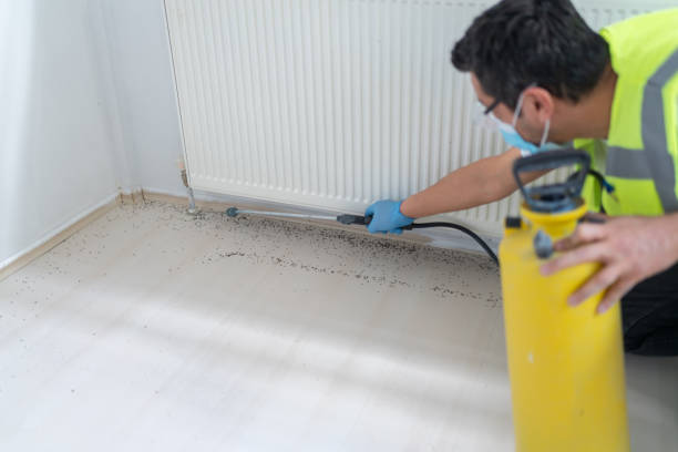 Best Local Pest Control Services  in Minnehaha, WA